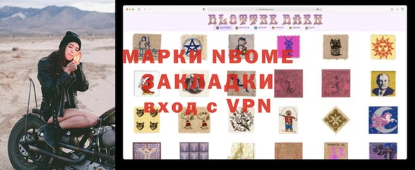 крисы Баксан