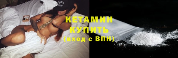 крисы Баксан
