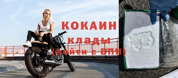 крисы Баксан