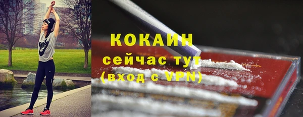 крисы Баксан